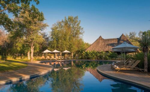 Mokuti Lodge Etosha Nationalpark Namutoni Schwimmbad