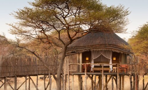 Onguma Tree Top Camp Etosha National Park Accommodation tree top